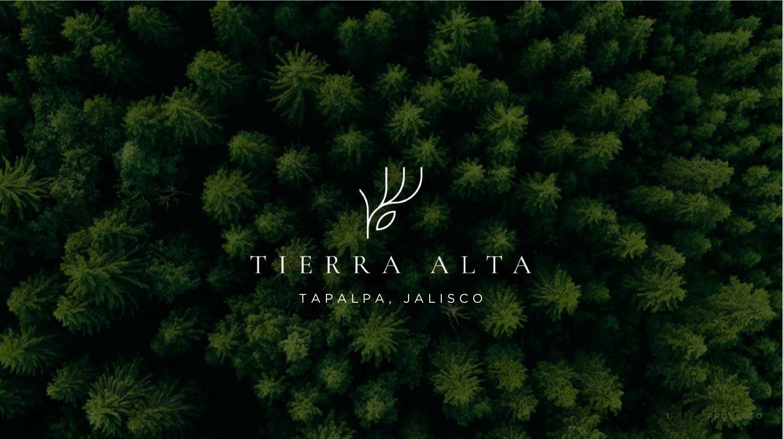 Tierra Alta Tapalpa en Rancho La Tuna, Los Espinos, Tapalpa — imagen 3